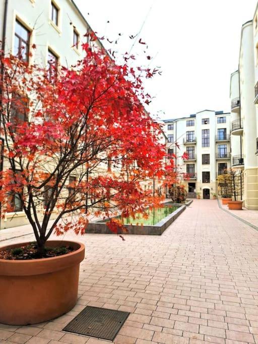 Gold City Point Piotrkowska 37 Lódź Exterior foto